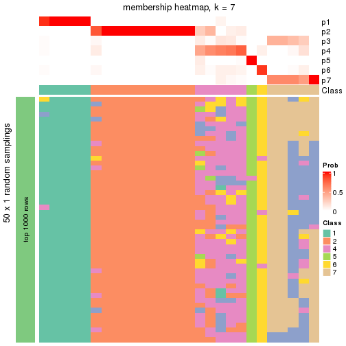 plot of chunk tab-node-011-membership-heatmap-6