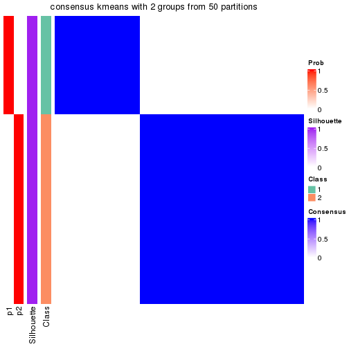 plot of chunk tab-node-012-consensus-heatmap-1