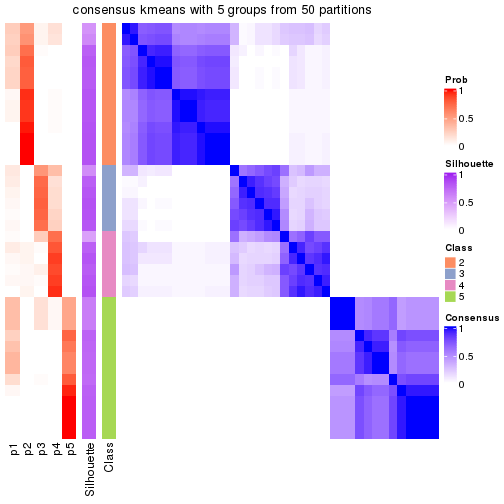 plot of chunk tab-node-012-consensus-heatmap-4