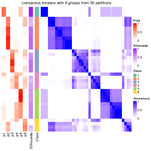 plot of chunk tab-node-012-consensus-heatmap-5