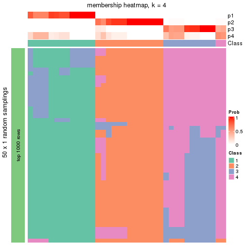 plot of chunk tab-node-012-membership-heatmap-3