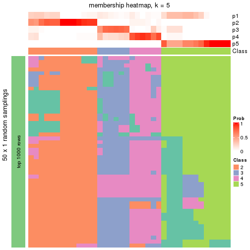 plot of chunk tab-node-012-membership-heatmap-4