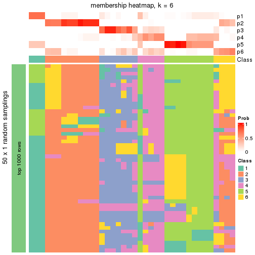 plot of chunk tab-node-012-membership-heatmap-5