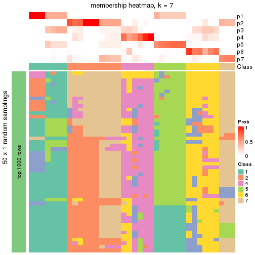 plot of chunk tab-node-012-membership-heatmap-6