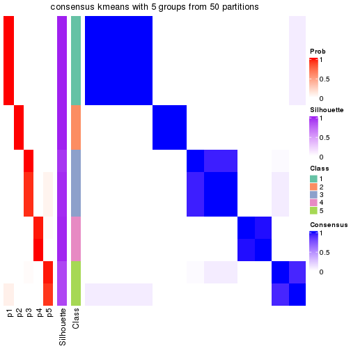 plot of chunk tab-node-0121-consensus-heatmap-4