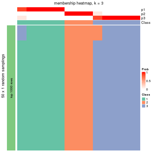 plot of chunk tab-node-0121-membership-heatmap-2