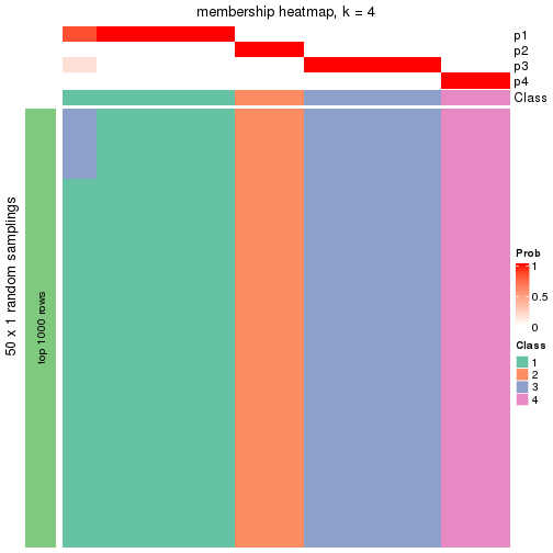 plot of chunk tab-node-0121-membership-heatmap-3