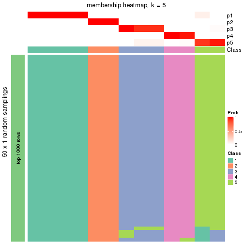 plot of chunk tab-node-0121-membership-heatmap-4