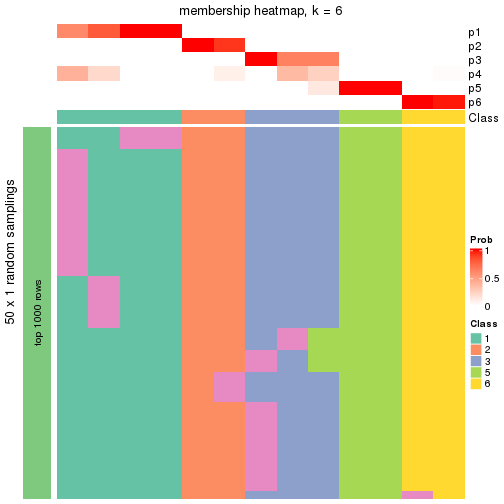 plot of chunk tab-node-0121-membership-heatmap-5