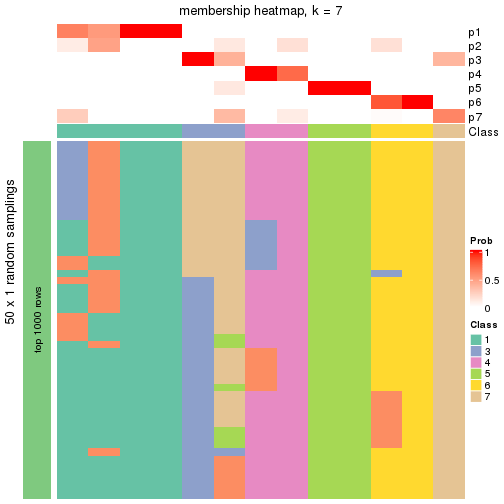 plot of chunk tab-node-0121-membership-heatmap-6