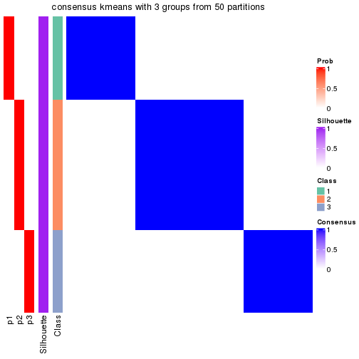 plot of chunk tab-node-0122-consensus-heatmap-2