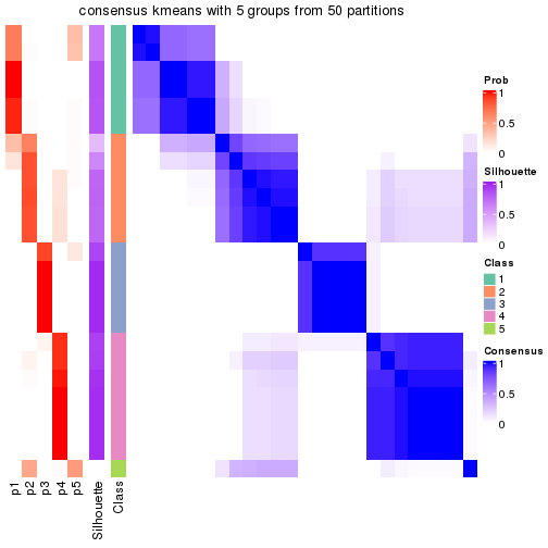 plot of chunk tab-node-0122-consensus-heatmap-4