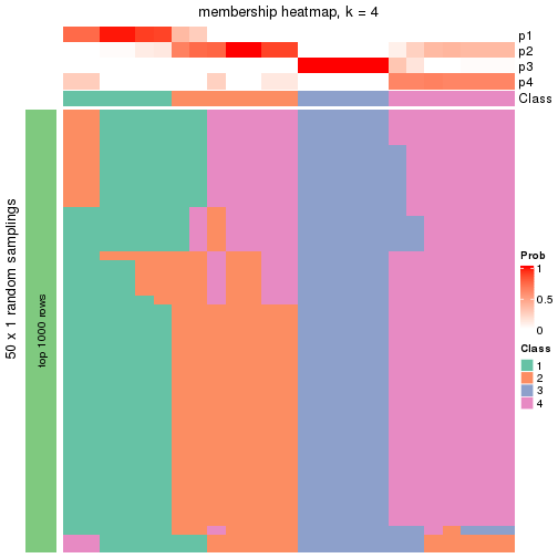 plot of chunk tab-node-0122-membership-heatmap-3