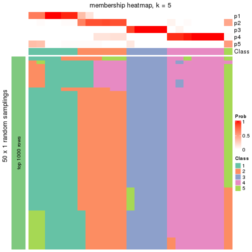 plot of chunk tab-node-0122-membership-heatmap-4