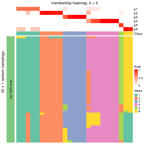 plot of chunk tab-node-0122-membership-heatmap-5