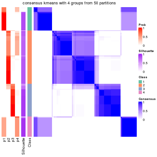 plot of chunk tab-node-02-consensus-heatmap-3