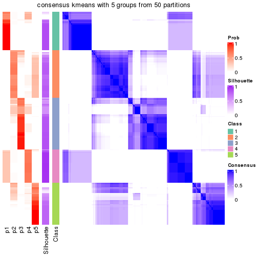 plot of chunk tab-node-02-consensus-heatmap-4