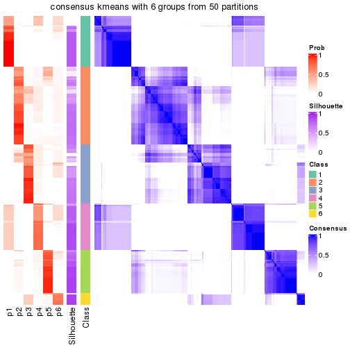 plot of chunk tab-node-02-consensus-heatmap-5