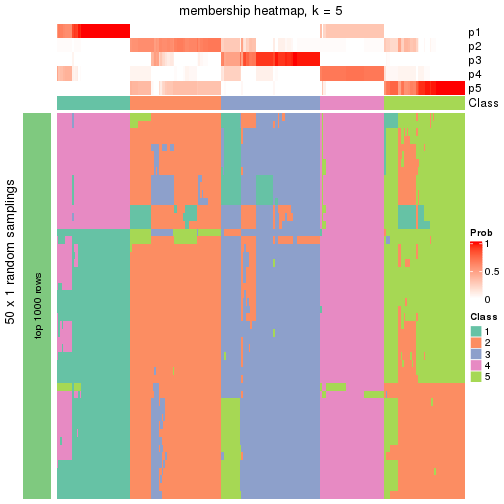 plot of chunk tab-node-02-membership-heatmap-4