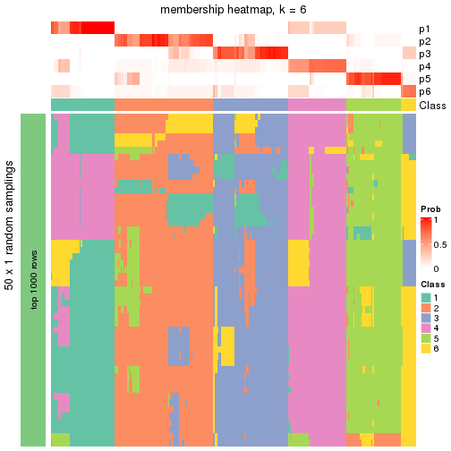 plot of chunk tab-node-02-membership-heatmap-5