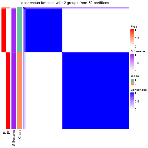 plot of chunk tab-node-021-consensus-heatmap-1