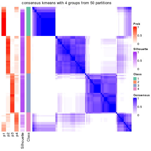 plot of chunk tab-node-021-consensus-heatmap-3