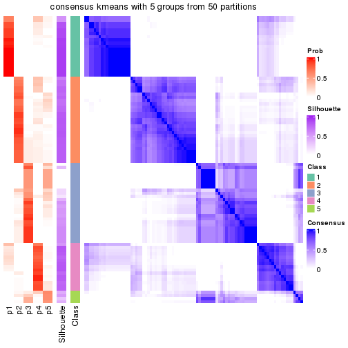 plot of chunk tab-node-021-consensus-heatmap-4