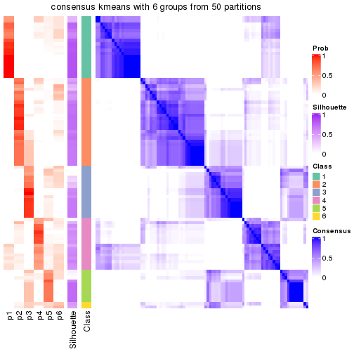 plot of chunk tab-node-021-consensus-heatmap-5