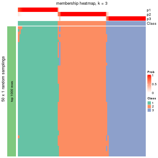 plot of chunk tab-node-021-membership-heatmap-2