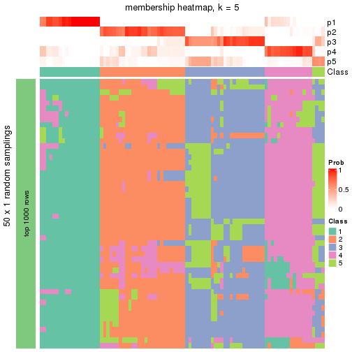 plot of chunk tab-node-021-membership-heatmap-4