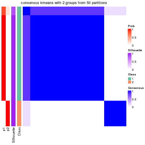 plot of chunk tab-node-0211-consensus-heatmap-1