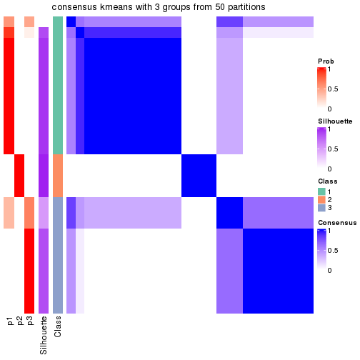 plot of chunk tab-node-0211-consensus-heatmap-2