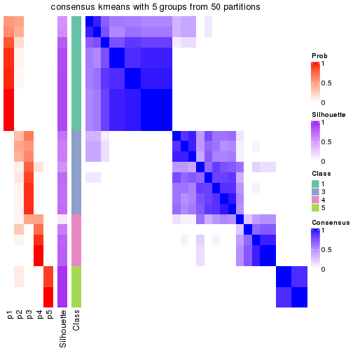 plot of chunk tab-node-0211-consensus-heatmap-4