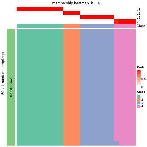 plot of chunk tab-node-0211-membership-heatmap-3