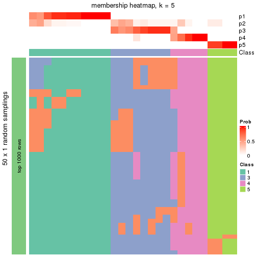 plot of chunk tab-node-0211-membership-heatmap-4