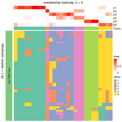 plot of chunk tab-node-0211-membership-heatmap-5