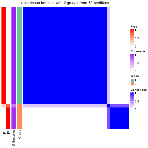 plot of chunk tab-node-0212-consensus-heatmap-1