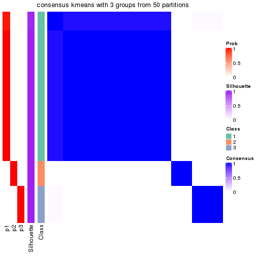 plot of chunk tab-node-0212-consensus-heatmap-2