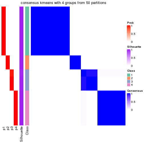 plot of chunk tab-node-0212-consensus-heatmap-3