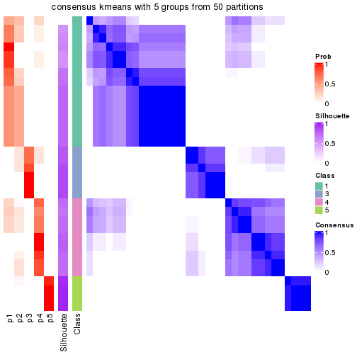 plot of chunk tab-node-0212-consensus-heatmap-4