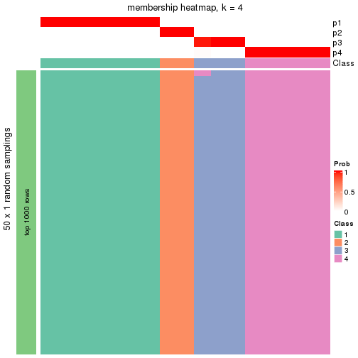 plot of chunk tab-node-0212-membership-heatmap-3