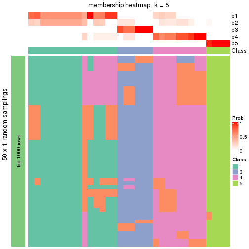 plot of chunk tab-node-0212-membership-heatmap-4