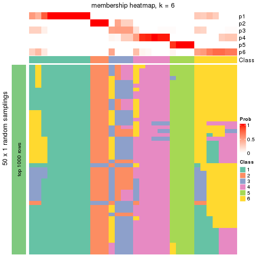 plot of chunk tab-node-0212-membership-heatmap-5