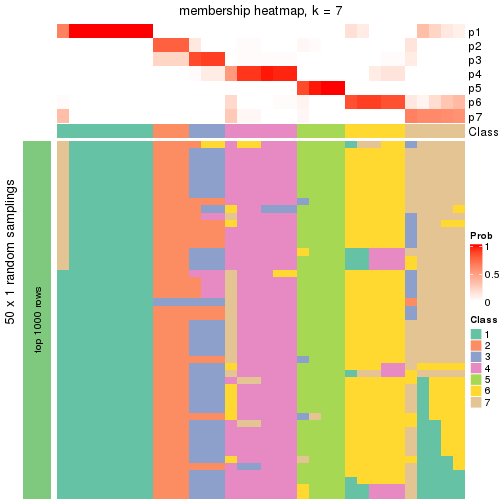 plot of chunk tab-node-0212-membership-heatmap-6