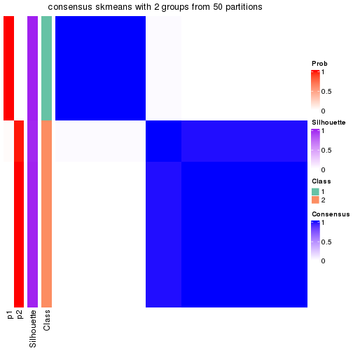 plot of chunk tab-node-0213-consensus-heatmap-1