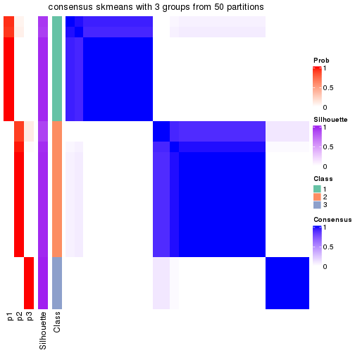 plot of chunk tab-node-0213-consensus-heatmap-2