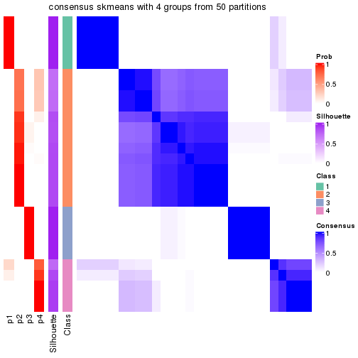 plot of chunk tab-node-0213-consensus-heatmap-3