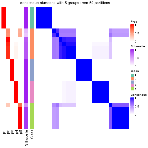 plot of chunk tab-node-0213-consensus-heatmap-4