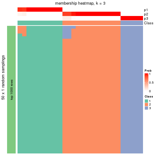 plot of chunk tab-node-0213-membership-heatmap-2