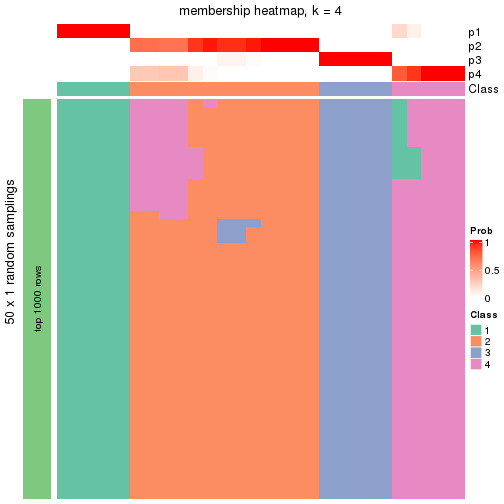 plot of chunk tab-node-0213-membership-heatmap-3